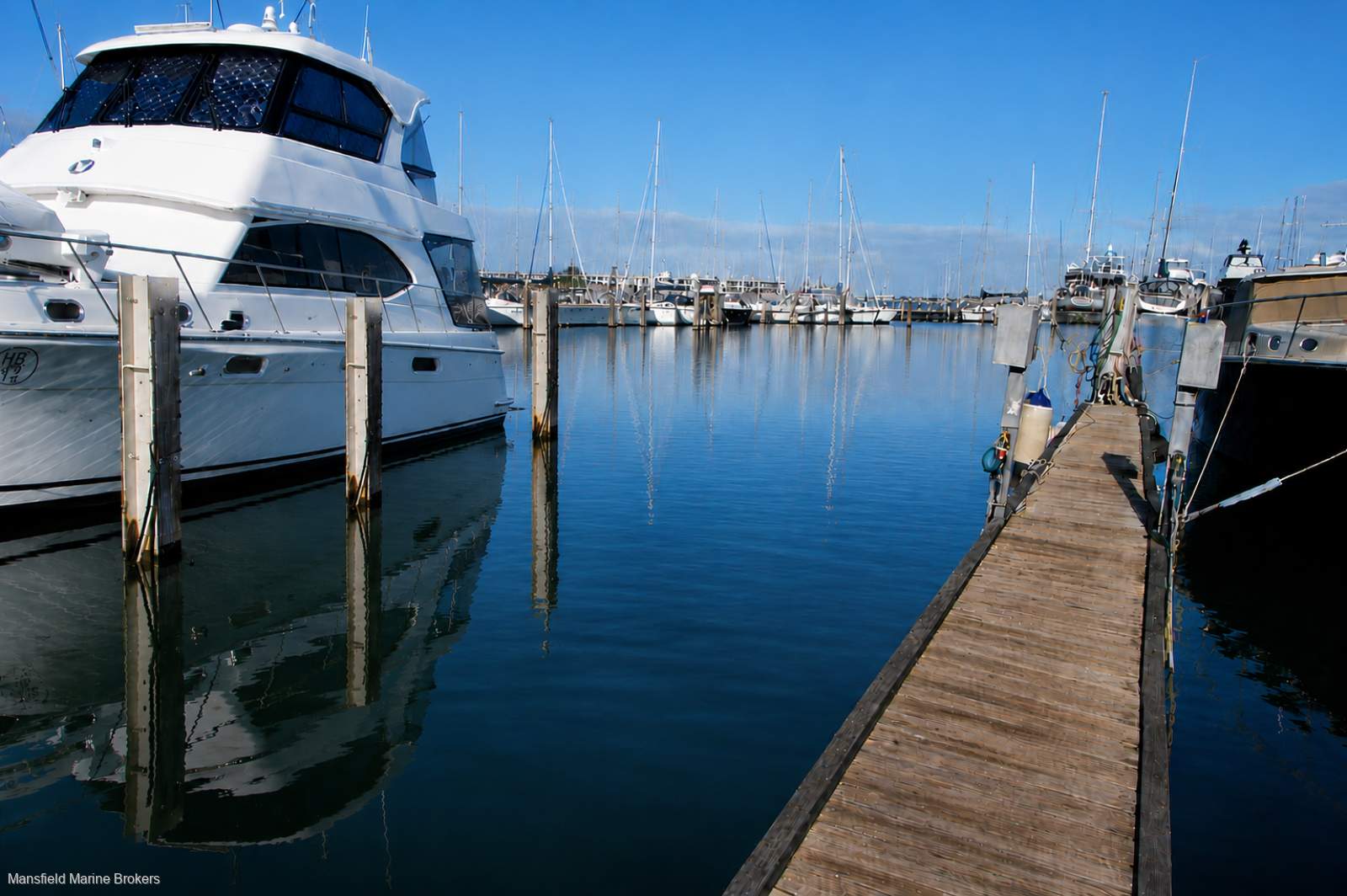 Pen - (Rare Land Backed) 15m Fremantle Sailing Club Pen