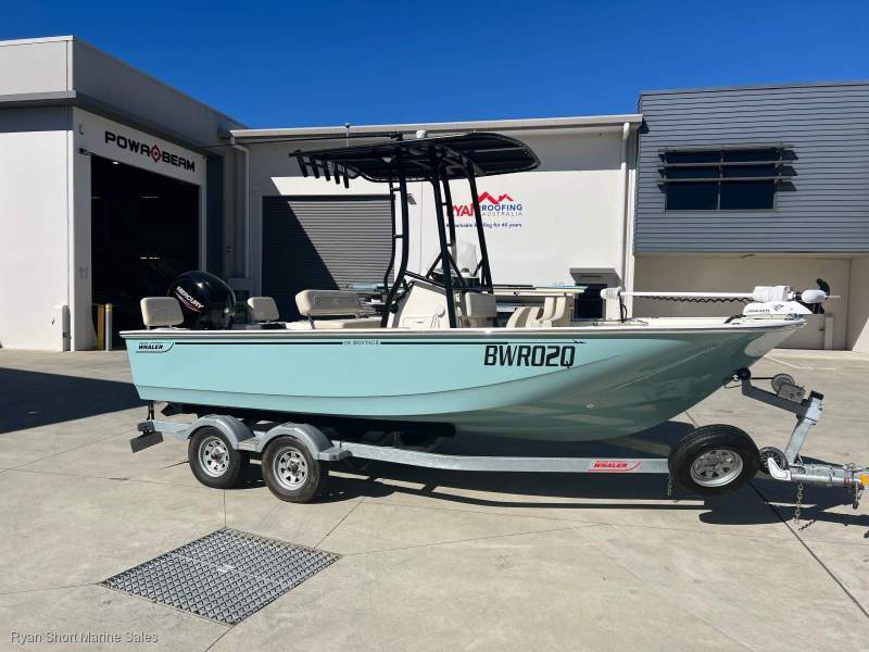 Boston Whaler 190 Montauk