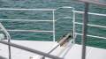 Bruce Harris 15m Expedition Power Catamaran