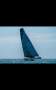Tornado Sport Extreme 40 Fastest sailing boat in Australia