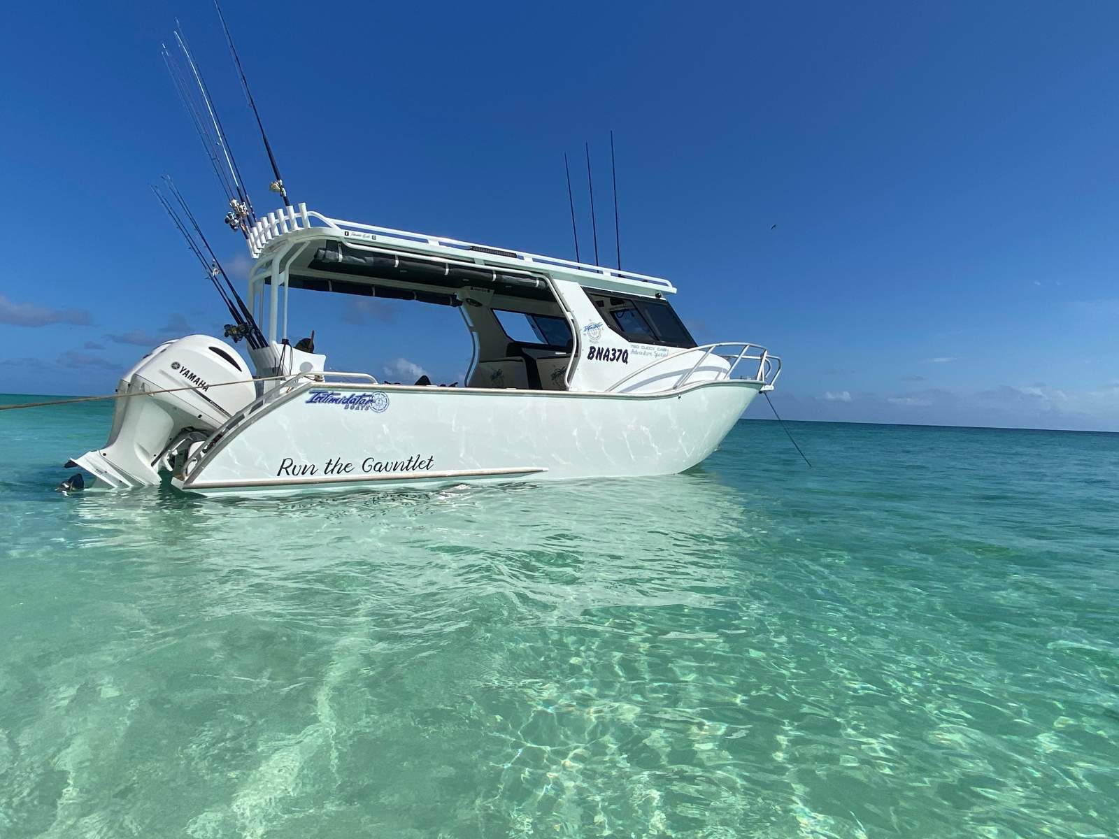Intimidator Boats Cuddy Cabin - Adventure Special Series "Run The Gauntlet"