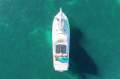Randell 42 Flybridge (Great Value)