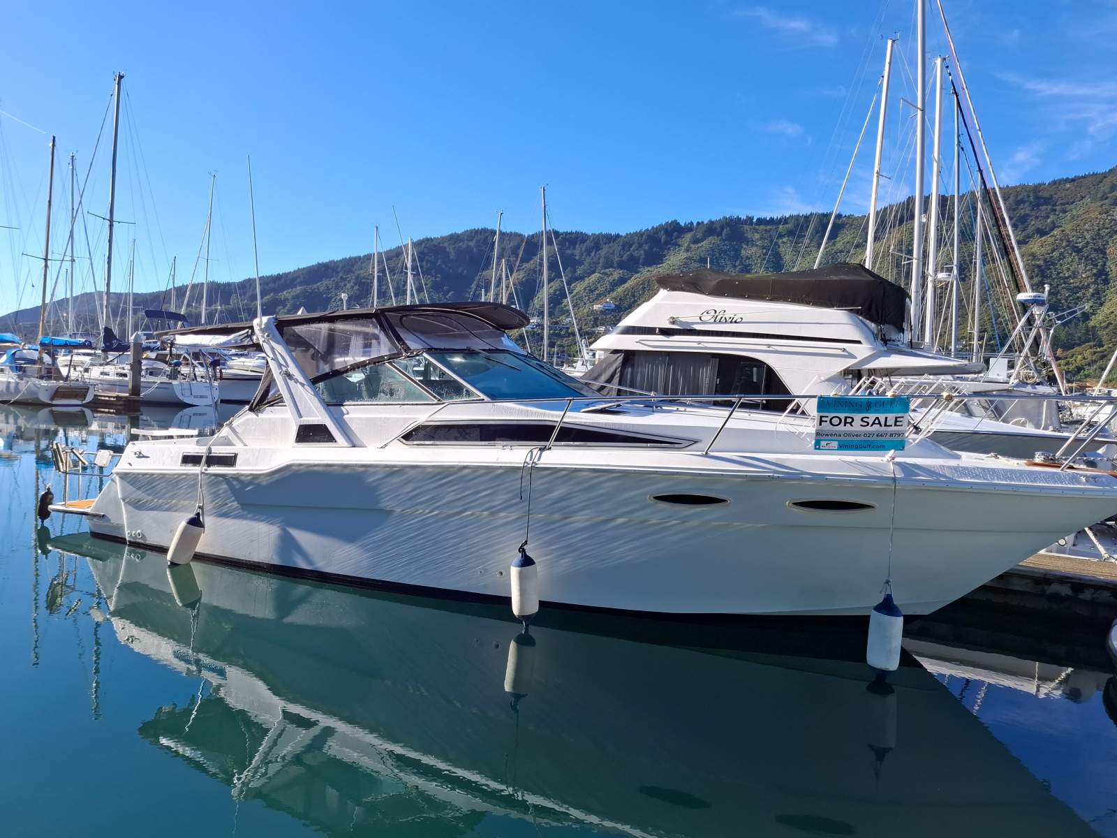 Sea Ray 300 Sundancer