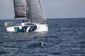 Beneteau First 27 SE