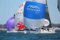 Cookson 12