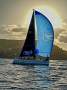 Cookson 12