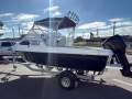Caribbean V186 Runabout