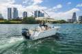 Sea Fox 249 Avenger