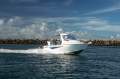 Sea-Trex 600 Sea-Force Hard Top Cab BOAT PACKAGE FROM ROCKHAMPTON MARINE!!!