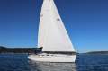 Bavaria 44