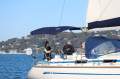 Bavaria 44