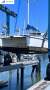 Gemini Catamaran