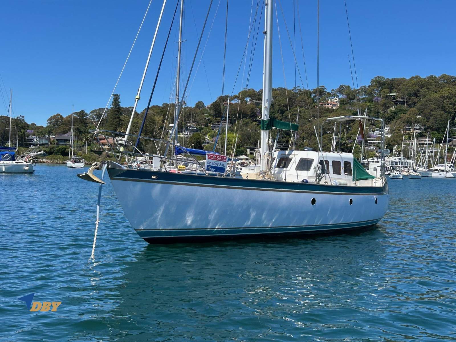 Swanson 42