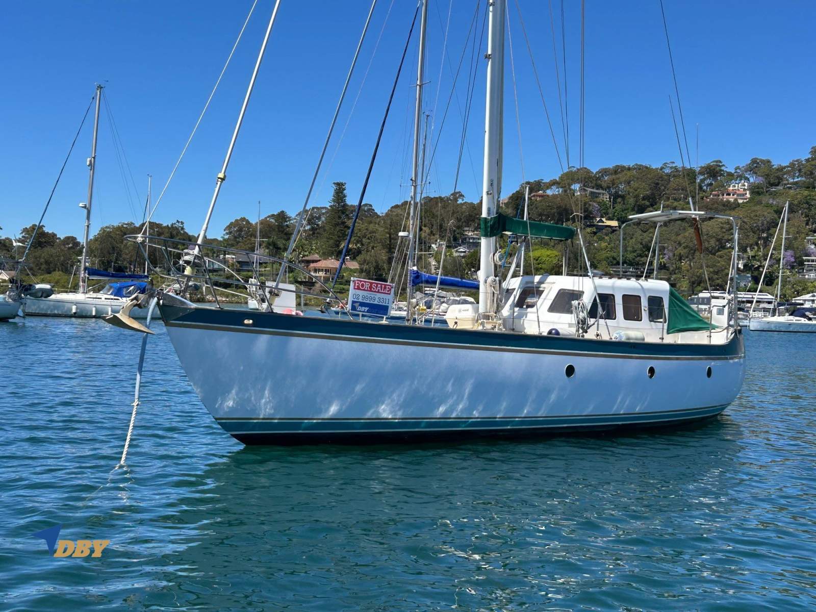 Swanson 42
