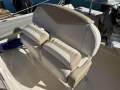 Robalo R242