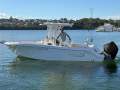 Robalo R242