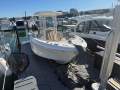 Robalo R242