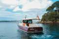 Rose Island Lobster 38