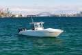 Wellcraft Scarab 35 Offshore Sport