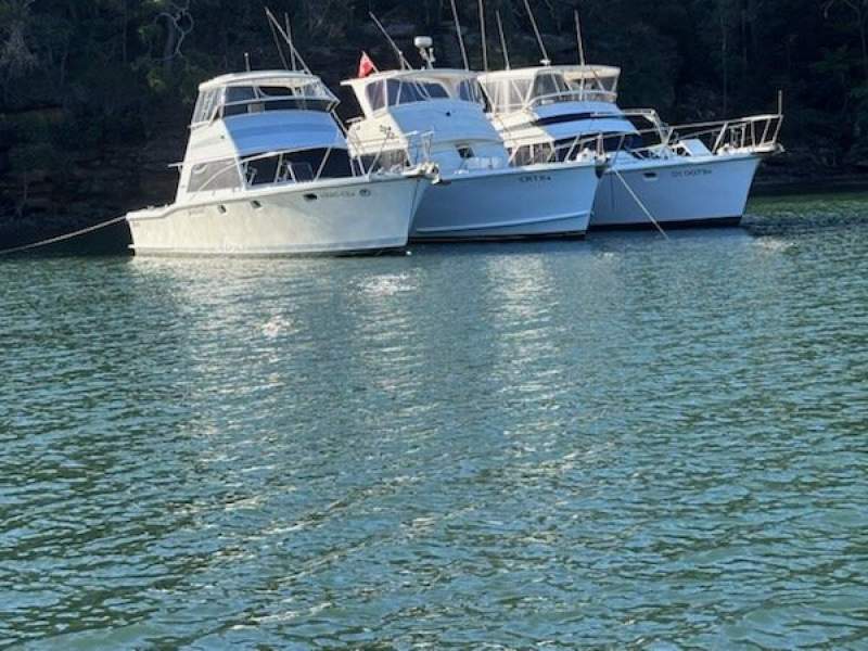 Halvorsen & Gowland HMG 43