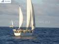 Alan Payne Sloop