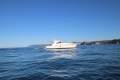 Riviera 43 Offshore Express