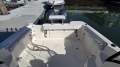 Wellcraft 252 Coastal