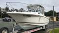 Wellcraft 252 Coastal