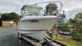Wellcraft 252 Coastal