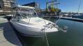 Wellcraft 252 Coastal