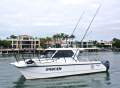 Shockwave Powercat Breaksea X