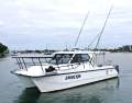 Shockwave Powercat Breaksea X