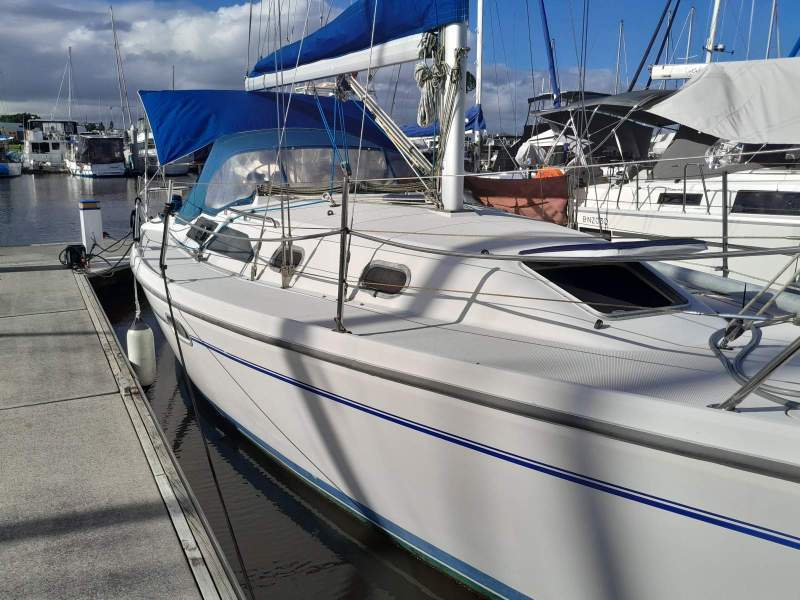 Catalina 310