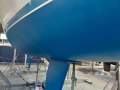 Catalina 310