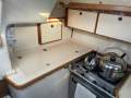 Catalina 320