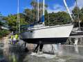 Catalina 320
