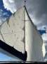 Chieftain 38 NZ Built, New Rigging, 350 Engine Hours, Cruiser