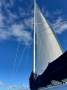 Chieftain 38 NZ Built, New Rigging, 350 Engine Hours, Cruiser