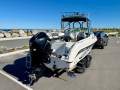 Haines Hunter 600 R