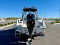 Haines Hunter 600 R