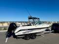 Haines Hunter 600 R