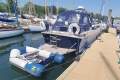 Swordsman Marine 37