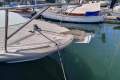 Swordsman Marine 37
