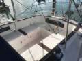 Rustler 36 Offshore Ready