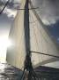 Rustler 36 Offshore Ready