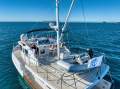 Selene 43