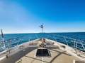 Selene 43