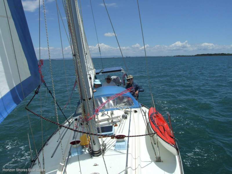 Eastcoast 31