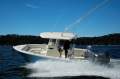 Cobia 240 CC