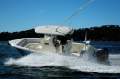 Cobia 240 CC